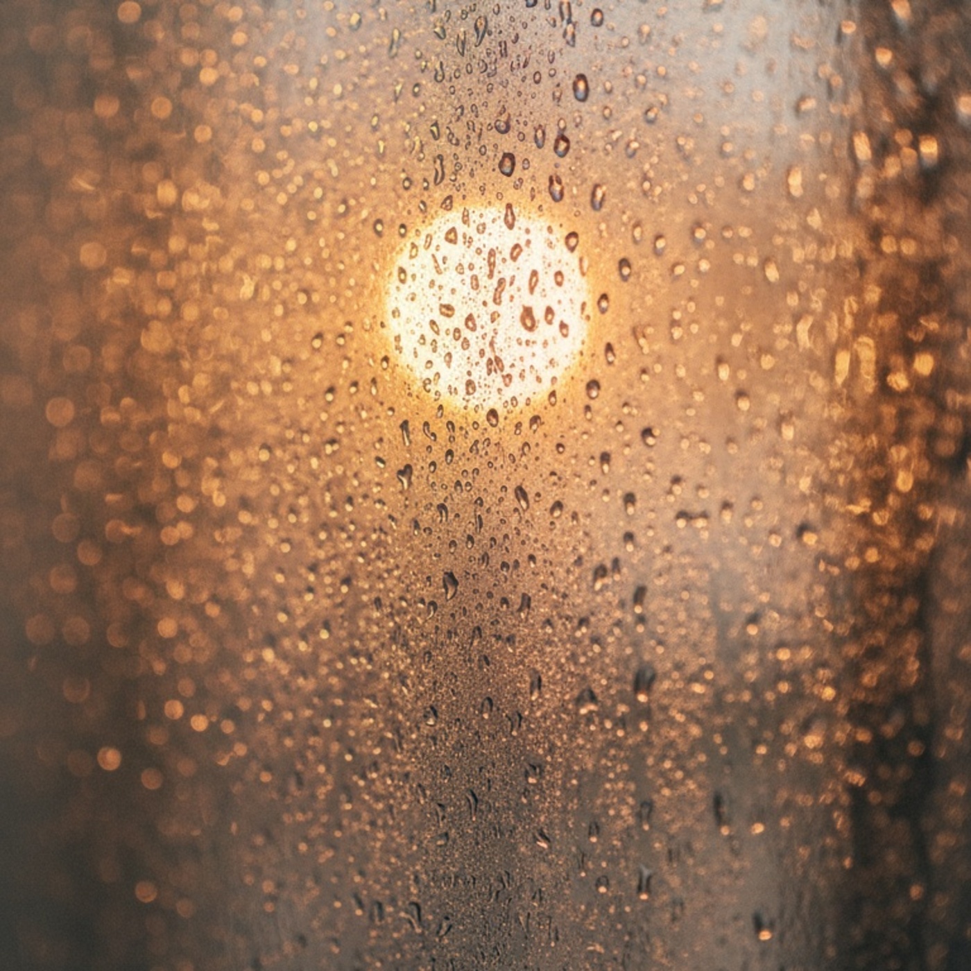 Welcome Home artwork